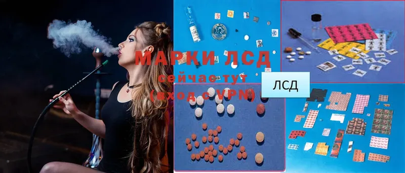 ЛСД экстази ecstasy  дарнет шоп  Камызяк 